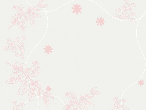 懂波帝直播，这是什么直播平台主播叫什么
